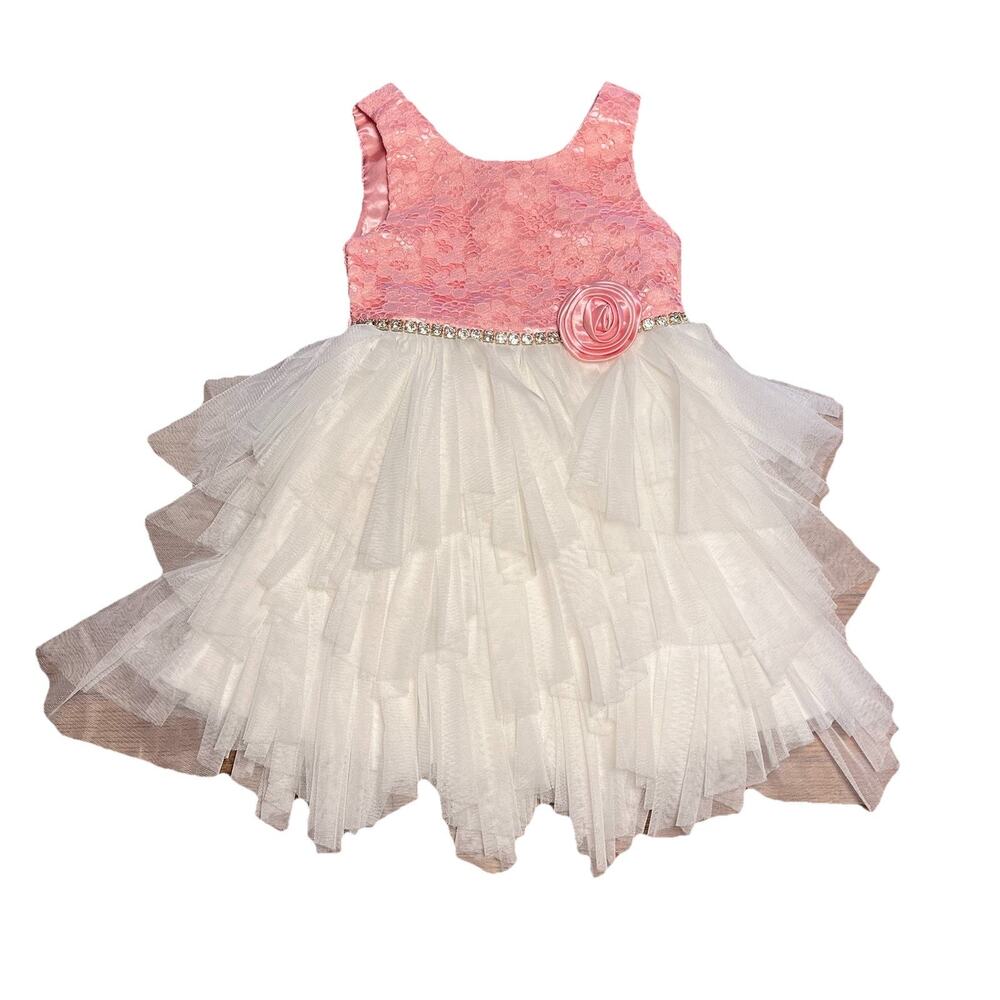 Size 3T Baby Girl Pink White Tulle Dress Jewel Belt Rose Party American Princess